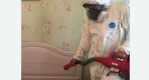 Уничтожение клещей в квартире. Ливны