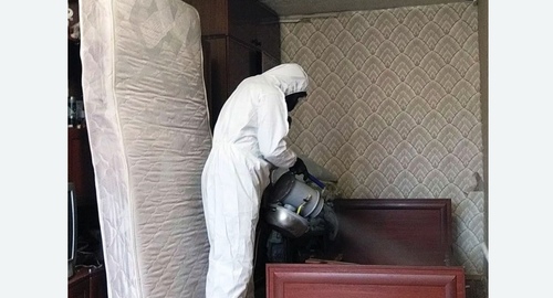Дезинфекция от клопов холодным туманом