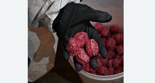 Травля крыс. Ливны